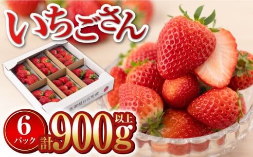 白石産いちご「いちごさん」 約150g×6パック（計900g以上）