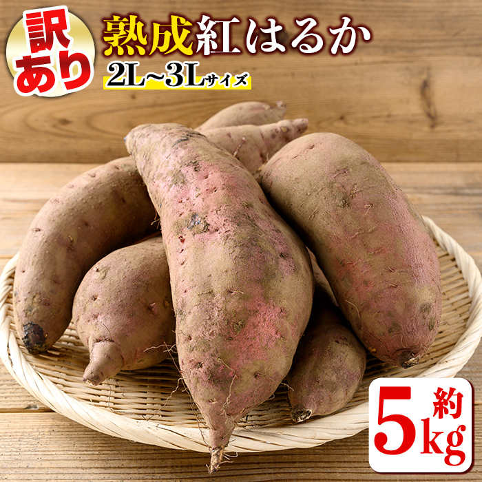 訳あり 予約受付中 熟成紅はるか約5kg 2L～3Lサイズ混合